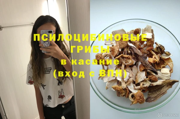 МДПВ Абдулино