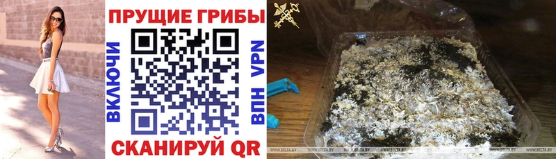 Галлюциногенные грибы ЛСД  Правдинск 